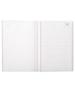 LE DAUPHIN Carnet autocopiant tripli Quadrillé148 x 105 mm 1103D Modèle