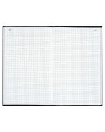 LE DAUPHIN : Registre VS 200 pages quadrillées 8529d