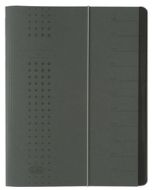ELBA 400001032 : Trieur à élastique 12 compartiments - Anthracite