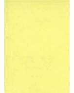 Fiches Bristol Unies - 75 x 125 mm - Jaune : ELVE Lot de 100 Visuel
