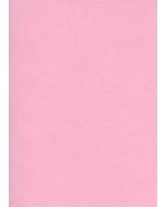 Fiches Bristol Unies - 75 x 125 mm - Rose : ELVE Lot de 100 Image