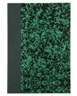 LE DAUPHIN 392501D Registre 192 pages lignées 297 x 210 mm