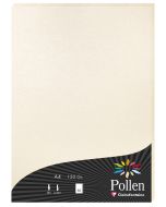 Photo Feuille de couleur Ivoire irisé 210 x 297 mm A4 POLLEN 24303C