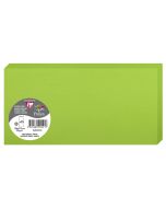 Photo POLLEN : Carte double de papier - Format DL - Vert menthe 2521C
