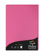 Photo Feuille de couleur Rose fuchsia 210 x 297 mm A4 POLLEN 4221C