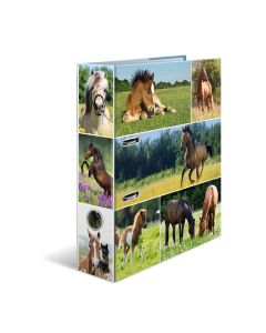 Classeur à 2 anneaux - Dos de 70 mm - Chevaux : HERMA image