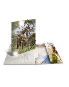 Photo Chemise à élastique A4 - Motif Girafe HERMA