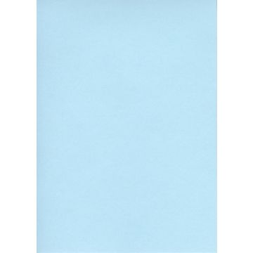 ELVE B105B : Lot de 100 fiches bristol A6 - 105 x 148 mm - Bleu uni 