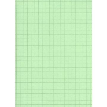 ELVE : Lot de 100 fiches bristol A4 - 297 x 210 mm  B29713V- Vert quadrillé (Fournitures)