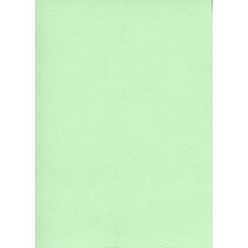 ELVE : Lot de 100 fiches bristol A6 - 105 x 148 mm - Vert uni B105V