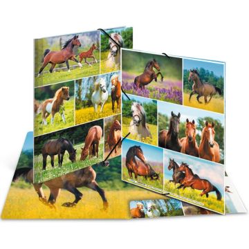 Chemise à élastiques A4 - Motif Chevaux dans le pré : HERMA image