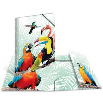 Chemise à élastiques A4 Motif Oiseaux Tropiques : HERMA image