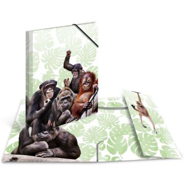 Chemise à élastiques A4 Motif Singes : HERMA image