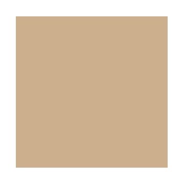 Carton de Bricolage 500 x 700 mm - Cappuccino - 300 g/m² : FOLIA Lot de 10 Visuel