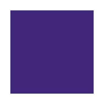 Feuilles de papier de couleur - 500 x 700 mm - Violet foncé : FOLIA Lot de 10