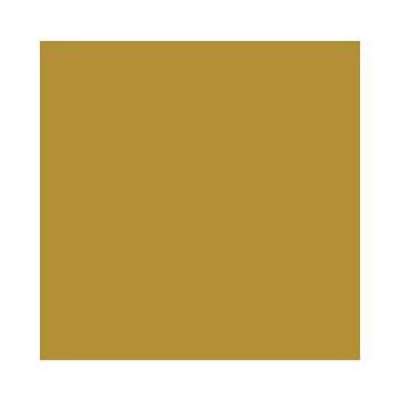 Feuilles de papier de couleur - 500 x 700 mm - Or mat : FOLIA Lot de 10