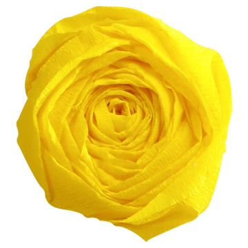 Papier Crépon - Jaune citron : CLAIREFONTAINE Photo