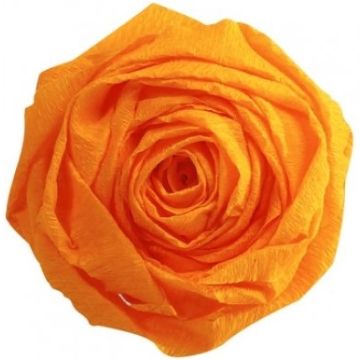 Papier Crépon - Jaune or : CLAIREFONTAINE Visuel