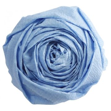 Papier Crépon - Bleu ciel : CLAIREFONTAINE Photo