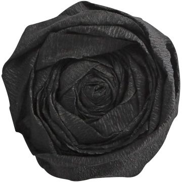 Papier Crépon - Noir : CLAIREFONTAINE Visuel