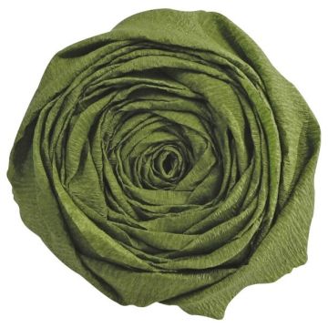 Papier Crépon - Vert mousse : CLAIREFONTAINE Visuel