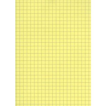 Fiches Bristol - 125 x 200 mm - Jaune quadrillé ELVE B12513J jaune