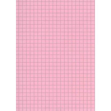 ELVE B12513R : Lot de 100 fiches bristol - 125  x 200 mm - Rose quadrillé 