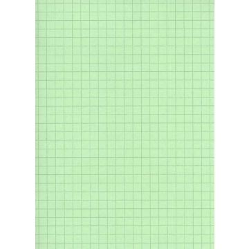 Fiches Bristol - 125 x 200 mm - Vert quadrillé ELVE B12513V 