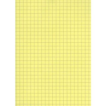 Fiches Bristol A5 - 148 x 210 mm - Jaune quadrillé ELVE B14813J jaune