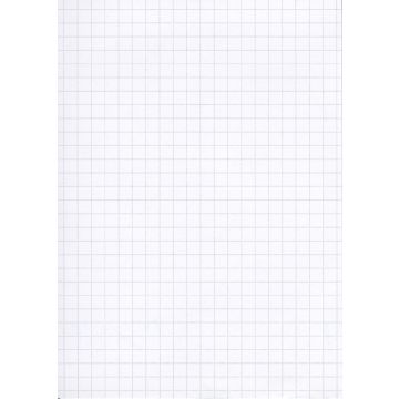 Lot de 100 Fiches Bristol A4 - 297 x 210 mm - Blanc quadrillé ELVE B29713 blanc