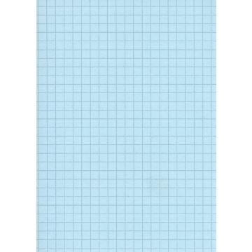 Lot de 100 Fiches Bristol A4 - 297 x 210 mm - Bleu quadrillé ELVE B29713B bleu