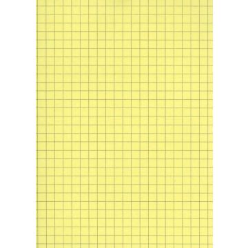 Fiches Bristol A4 - 297 x 210 mm - Jaune quadrillé ELVE B29713J Fournitures jaune