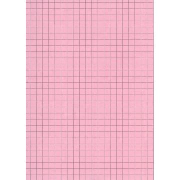 Fiches Bristol A4 - 297 x 210 mm - Rose quadrillé ELVE B29713R rose