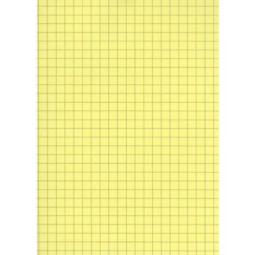 Fiches Bristol - 75 x 125 mm - Jaune quadrillé ELVE B7513J jaune