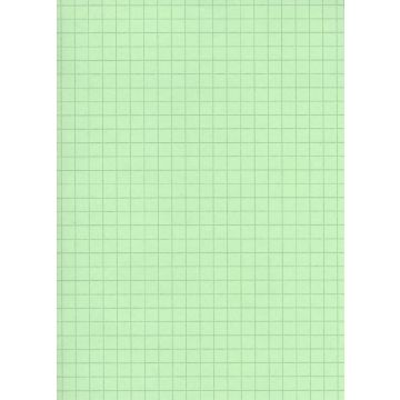 Fiches Bristol - 75 x 125 mm - Vert quadrillé ELVE B7513V vert