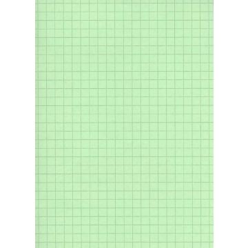 Fiches Bristol A6 - 105 x 148 mm Vert quadrillé ELVE B10513V Lot de 100 