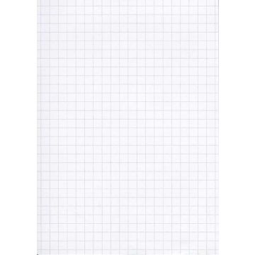 Fiches Bristol 125 x 200 mm - Blanc quadrillé ELVE B12513