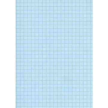 Fiches Bristol A5 - 148 x 210 mm - Bleu quadrillé ELVE B14813B
