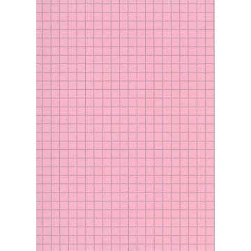 Fiches Bristol A5 - 148 x 210 mm - Rose quadrillé ELVE B14813R