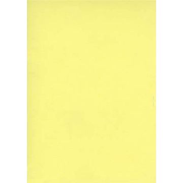 Fiches Bristol Unies A3 - 297 x 420 mm - Jaune : ELVE Lot de 100 Visuel