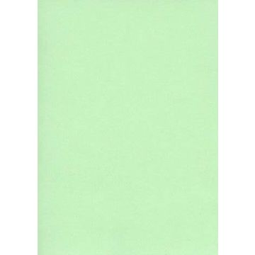 Fiches Bristol Unies A4 - 297 x 210 mm - Vert : ELVE Lot de 100 Illustration