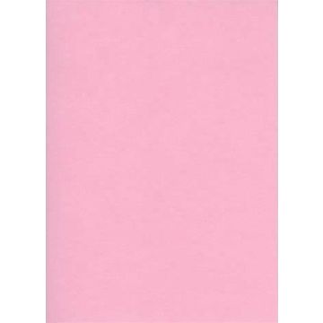 Fiches Bristol Unies A5 - 148 x 210 mm - Rose : ELVE Lot de 100 Visuel