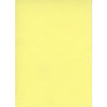 Fiches Bristol - Jaune uni - 125 x 200 mm ELVE B125J