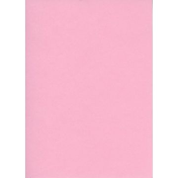Fiches Bristol - 125 x 200 mm - Rose uni ELVE B125R modèle