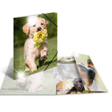 Photo Chemise à élastique A4 - Motif Chiens HERMA image