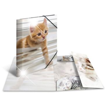 Photo Chemise à élastiques A4 - Motif Chats - HERMA Glossy image