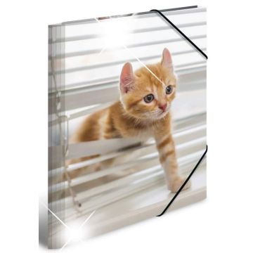 Photo Chemise à élastique A3 - Motif Chats HERMA image