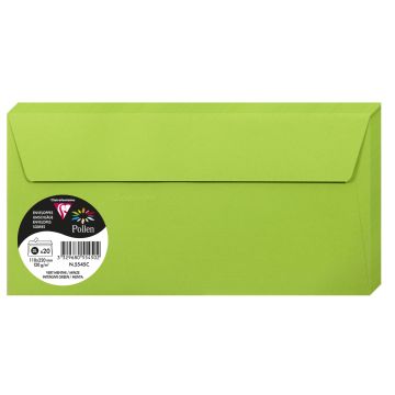 Photo Enveloppes - Format DL 110 x 220 mm - Vert menthe POLLEN
