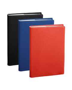 Agenda 2025 - Affaires - 100 x 150 mm - Assortiment : QUO VADIS image