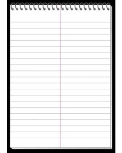 Bloc Sténo ligné à spirales - 148 x 210 mm A5 - 40 feuilles : LANDRE Work Image